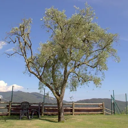 Çiftlik konaklama Daniela *